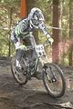 242__DSC0242 (2)